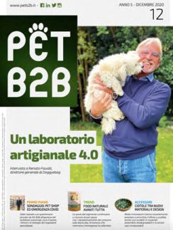 PET B2B Magazine Italia <span>2020</span>