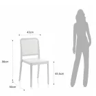 4 Sedie Indoor e Outdoor Impilabili in Polipropilene - Pavone Viadurini