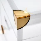 Baule Contenitore in Plexiglass con Dettagli Dorati Made in Italy - Briseide Viadurini