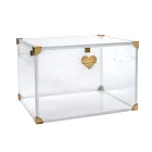 Baule Contenitore in Plexiglass con Dettagli Dorati Made in Italy - Briseide Viadurini