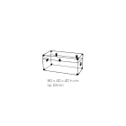 Baule Design in Cristallo Acrilico Trasparente e Acciaio Moderno - Dante Viadurini