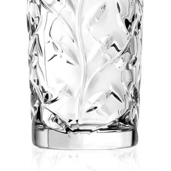 Bicchieri Tumbler Alti in Eco Cristallo Decoro a Foglia 12 Pz - Magnolio