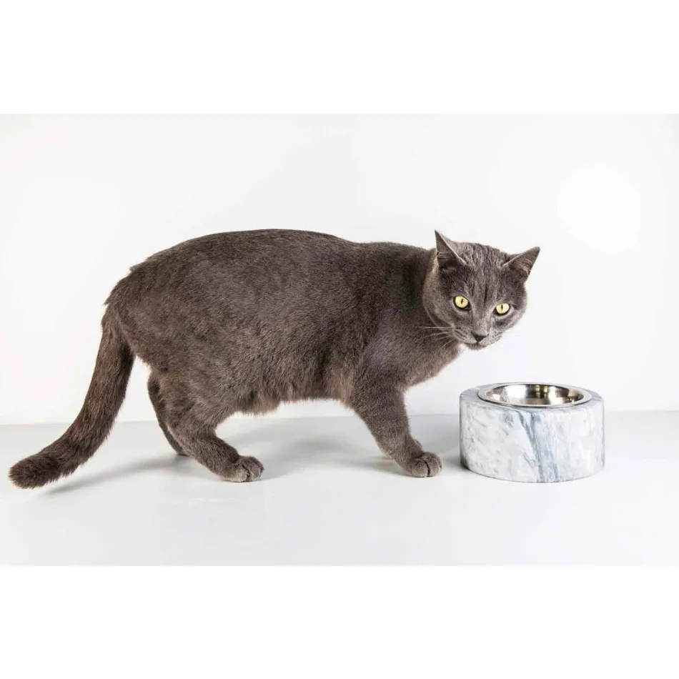 Ciotola Cani e Gatti in Marmo Bianco di Carrara Made in Italy - Ciotta Viadurini