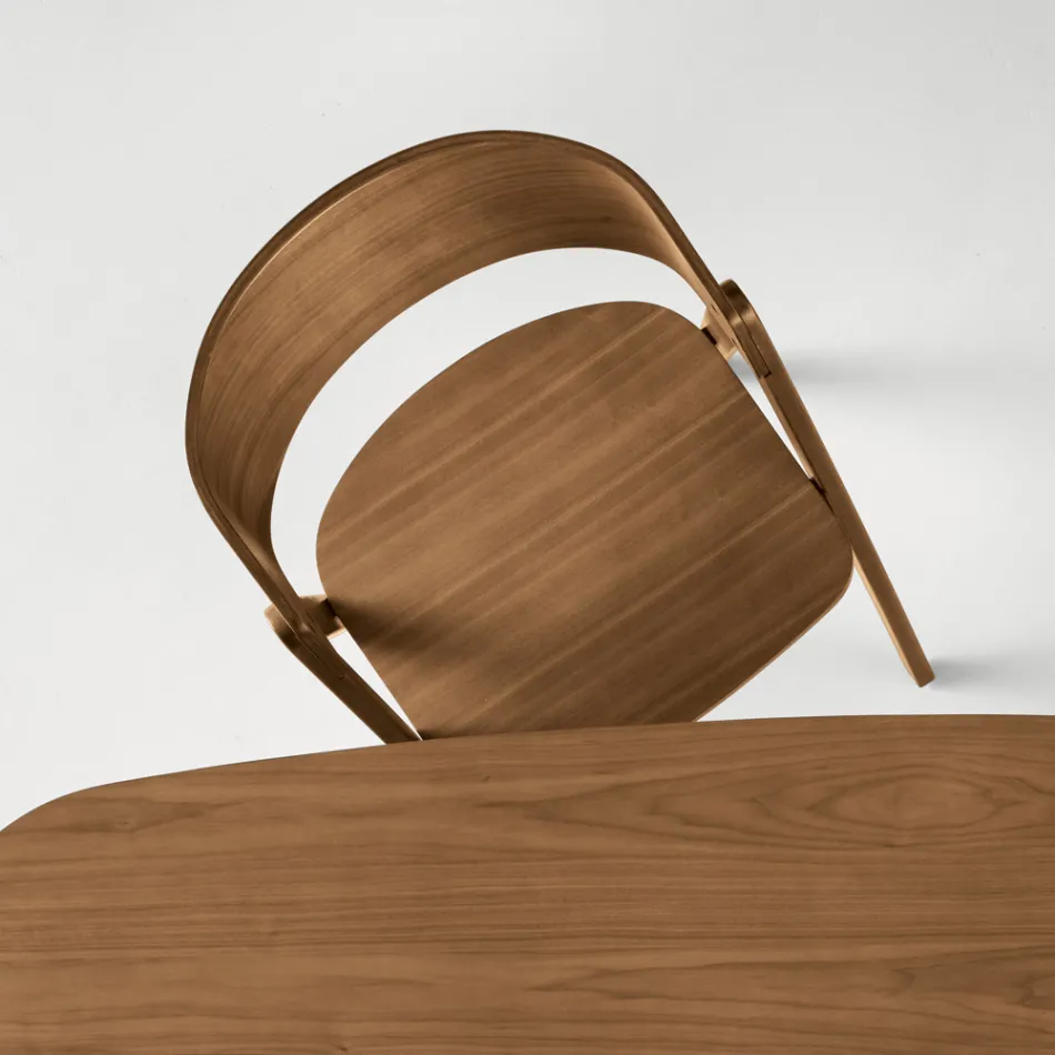 Due Sedie con Finitura Effetto Legno e Schienale Curvato in Due Colori - Vesta Viadurini