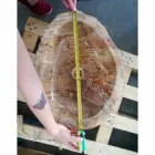 Lavabo in legno Fossile da appoggio Goa pezzo unico Viadurini