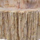 Lavabo in legno Fossile da appoggio Goa pezzo unico Viadurini