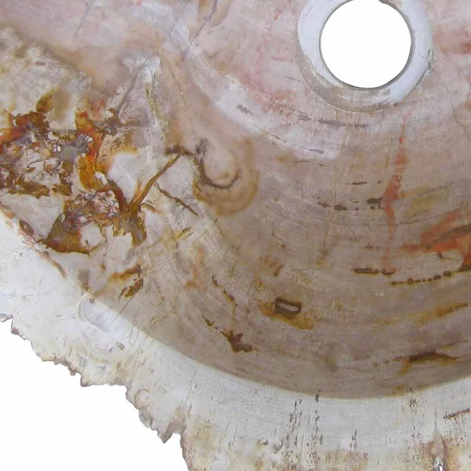 Lavabo in legno Fossile da appoggio Goa pezzo unico Viadurini