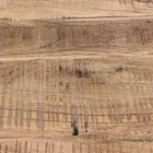 Madia in Legno di Acacia e Acciaio 2 Ante e 3 Cassetti Homemotion - Aimune Viadurini