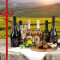 Omaggio Esclusivo: 6 Bottiglie di Prosecco DOC in Regalo