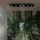 Plafoniera con Lastra di Vetro Piano con Abbassamenti - Kora Viadurini