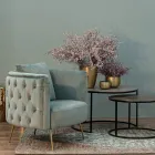 Poltrona Classica in Legno Imbottita Effetto Velluto Homemotion - Nichy Viadurini