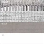 Poltrona Dondolo da Giardino Massello e Tessuto Imbottito – Smart by Varaschin Viadurini