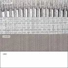 Poltrona Dondolo da Giardino Massello e Tessuto Imbottito – Smart by Varaschin Viadurini