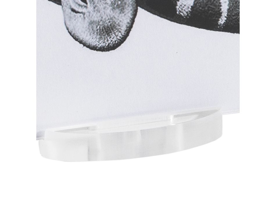 Portafoto in Cristallo Acrilico Trasparente con Basamento Design - Rover Viadurini