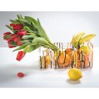 Portafrutta in Plexiglass Colorato Moderno Made in Italy - Multifruits Viadurini