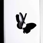 Portaombrelli Plexiglass Nero con Incisioni e Decori 3D, Design Moderno - Farfo Viadurini