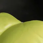 Pouf di design in ecopelle nautica per interni ed esterni Potus Viadurini