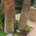 Proiettore Faretto Rotondo con Led da Esterno in Acciaio Inox - Dakota Viadurini