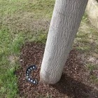 Proiettore Led 9W da Esterno in Alluminio Finitura Nero Opaco - Tudor Viadurini