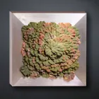 Quadro da Parete Moderno in Metallo e Fiori Artificiali Made in Italy - Gonio Viadurini