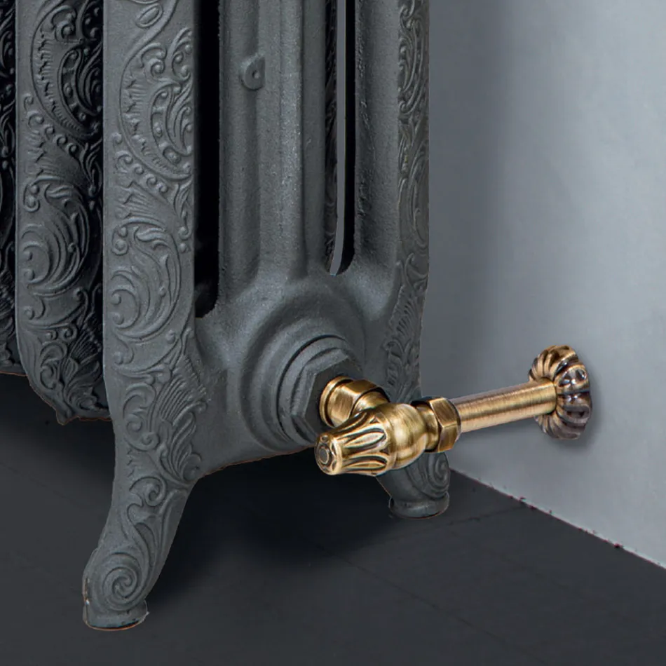 Radiatore in Fusione di Ghisa Idraulico con 3 Colonne Decorato - Vanillina Viadurini