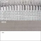 Sedia Esterno Impilabile con Braccioli Imbottita H 73cm  – Smart by Varaschin Viadurini