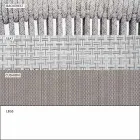 Sedia Esterno Impilabile con Braccioli Imbottita H 73cm  – Smart by Varaschin Viadurini