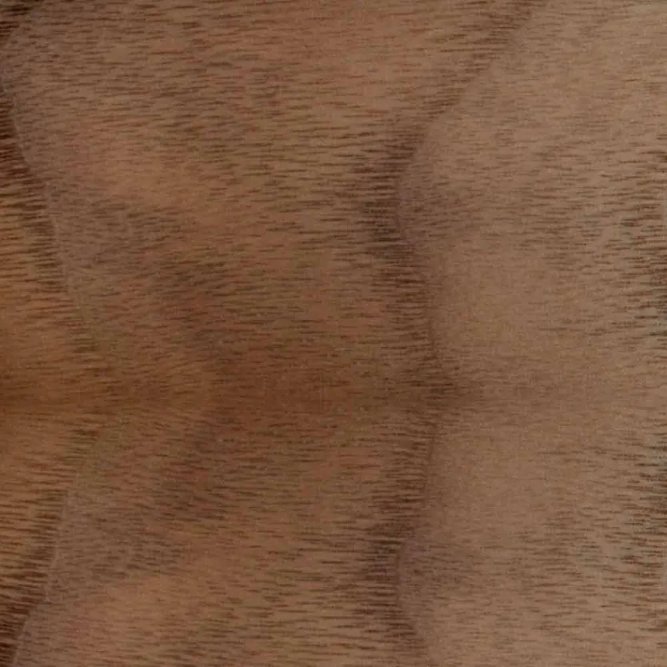 Sedia Imbottita con Base Legno Rovere Made in Italy – Sebastian Viadurini