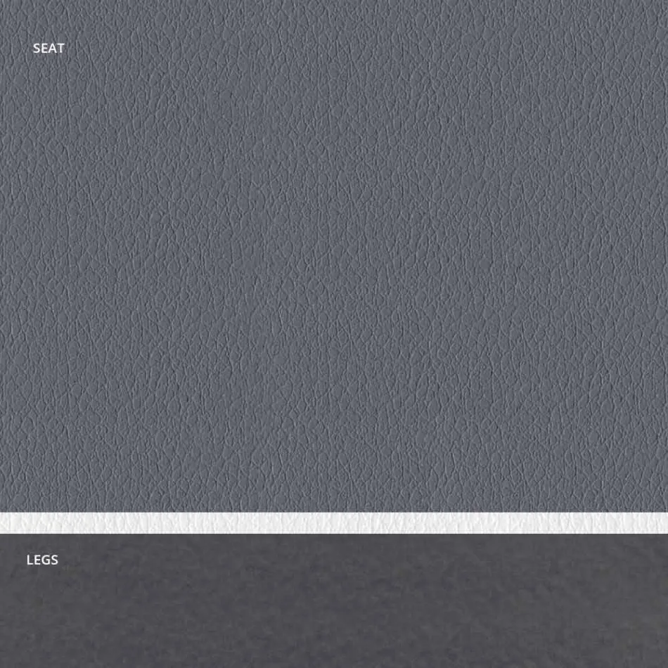 Sedia Imbottita in Acciaio e Seduta Ecopelle con Bordo Bianco – Nirvana Viadurini