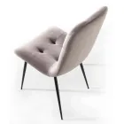 Sedia Rivestita in Velluto Antimacchia per Sala da Pranzo, 4 Pezzi - Kylie Viadurini