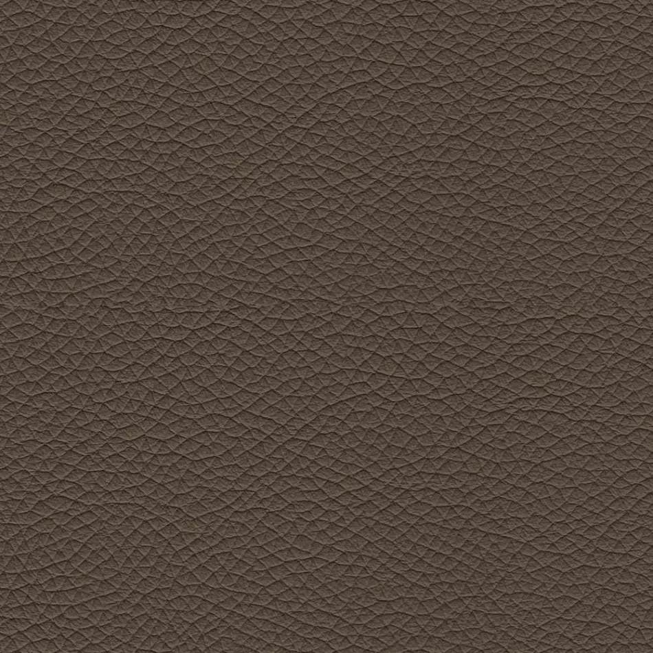 Sedia Sala da Pranzo con Seduta Rivestita in Pelle Made in Italy - Giulia Viadurini