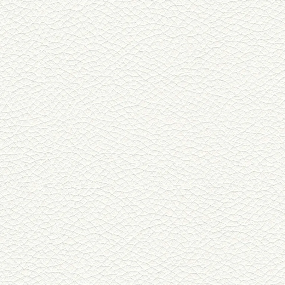 Sedia Sala da Pranzo con Seduta Rivestita in Pelle Made in Italy - Giulia Viadurini