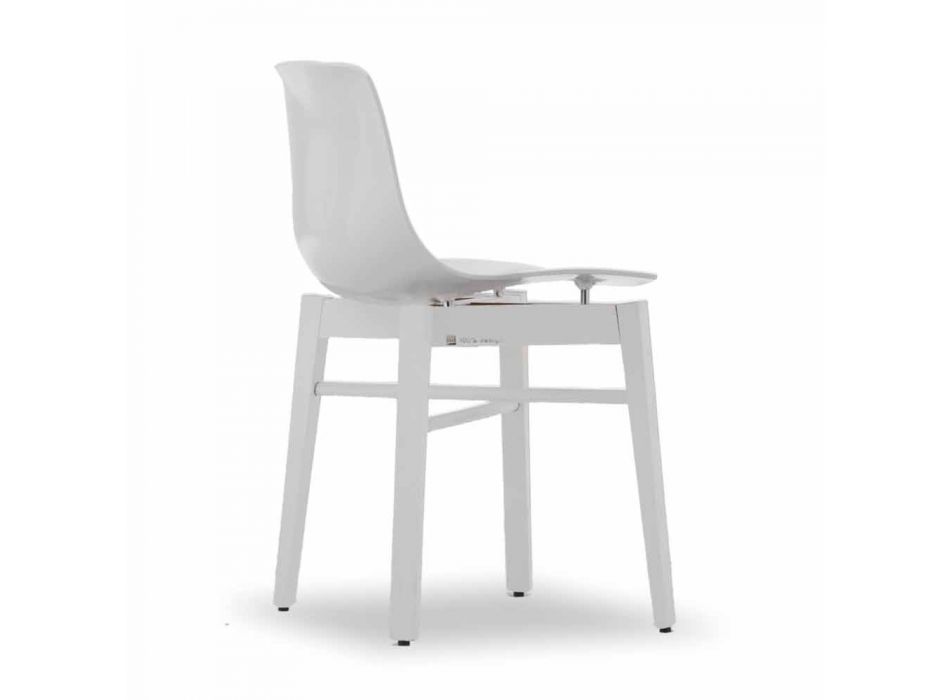 Sedie in Legno Rovere e Plastica Bianca di Design Moderno 2 Pezzi - Langoustine