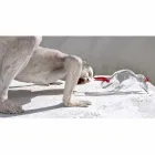 Soprammobile a Forma di Toro in Vetro Rosso e Trasparente Made in Italy - Torero Viadurini