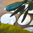 Tagliere in Marmo Bianco di Carrara di Design Rotondo Made in Italy - Masha Viadurini