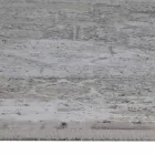 Tappeto di Design in Viscosa e Acrilico Grigio Beige con Disegno - President Viadurini