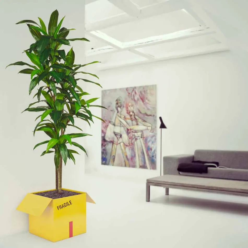 Tavolino Porta-Riviste Fragile Mabele Viadurini