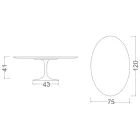 Tavolino Tulip Eero Saarinen H 41 Ovale con Piano in Marmo Caracatta Oro Viadurini