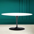 Tavolino Tulip Saarinen Ovale H 41 in Bianco Assoluto Made in Italy - Scarlet