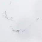 Tavolo Allungabile da Pranzo 240 cm Piano in Vetro e Ceramica - Barone Viadurini