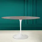 Tavolo Tulip Eero Saarinen H 73 Ovale in Ceramica Pietra Grey Made in Italy - Scarlet Viadurini