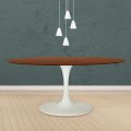 Tavolo Tulip Eero Saarinen H 74 Ovale in Rovere Tinto Noce Scuro Made in Italy - Scarlet