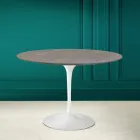 Tavolo Tulip Eero Saarinen H 73 Rotondo in Ceramica Pietra Grey Made in Italy - Scarlet Viadurini