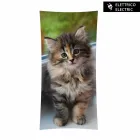 Termoarredo elettrico di design con foto in vetro temperato Barry Viadurini