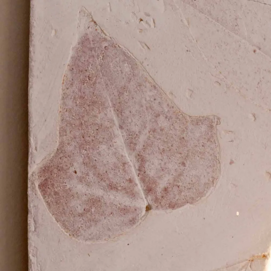 Toscot Vivaldi lampada da parete in terracotta made in Italy Viadurini