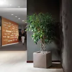 Vaso in Polietilene Colorato Forma Cubica Realizzato in Italia - Tonello Viadurini