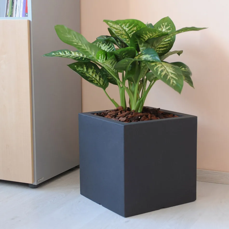 Vaso o Divisorio Quadrato da Giardino Tre Colori Made in Italy - Plants Viadurini