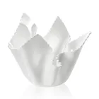 Vaso Plexiglass Colorato Drappeggiato Riciclabile 2 Pezzi 2 Misure - Gabria Viadurini