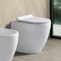 Vaso Wc Rimless a Terra in Ceramica Bianca e Sedile Soft Close - Aster  